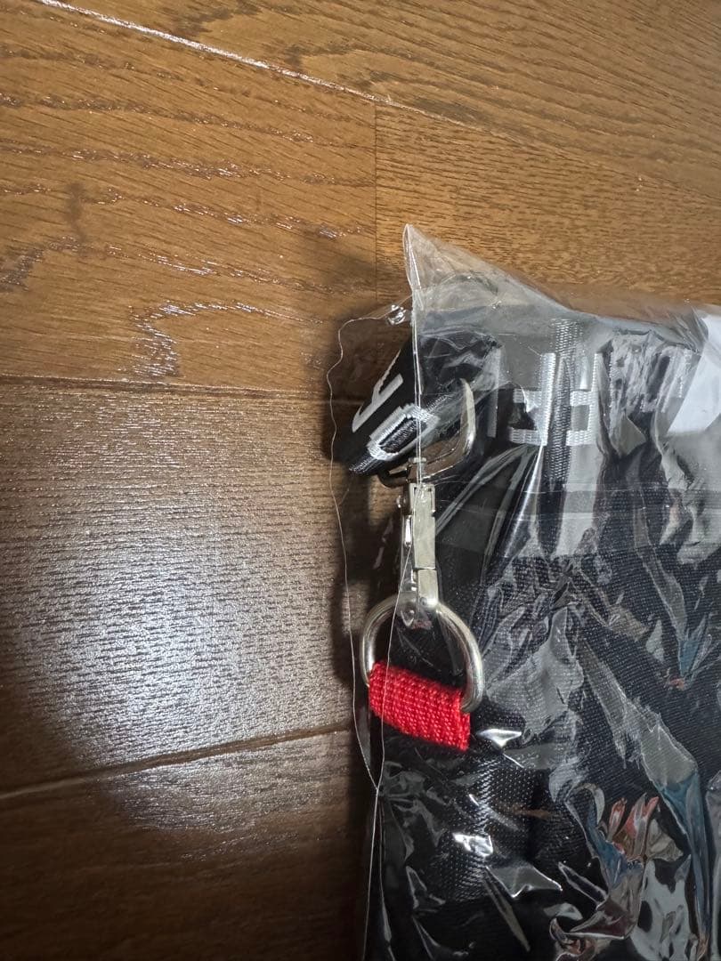 ポルノグラフィティ ショルダーポーチ