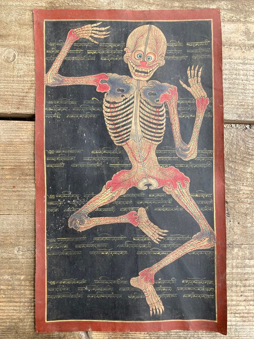 タンカ　チベット直筆人体図　ドクロ