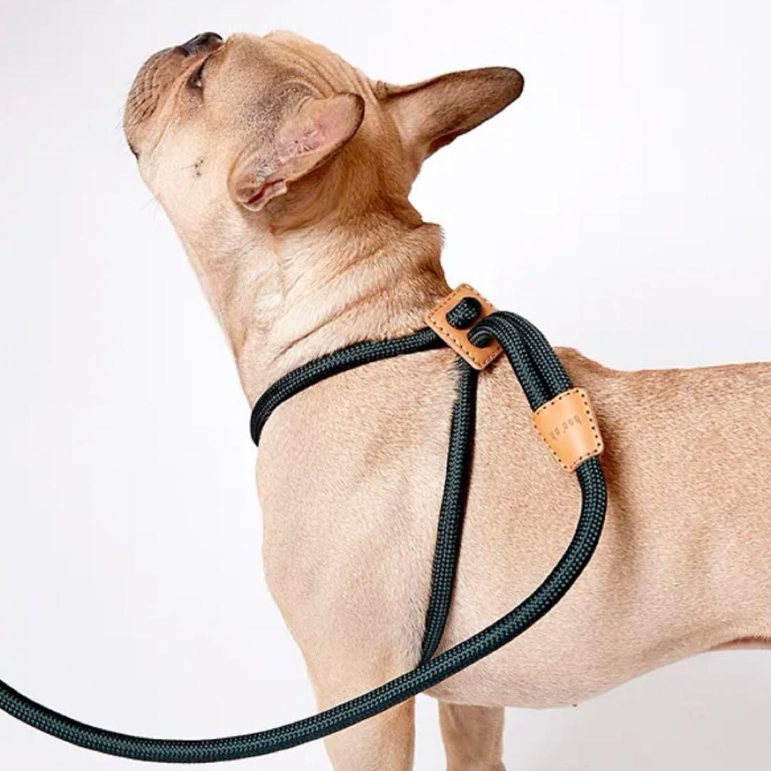 abu 犬用オールインワンハーネスSサイズ　ブルー　デコピン愛用