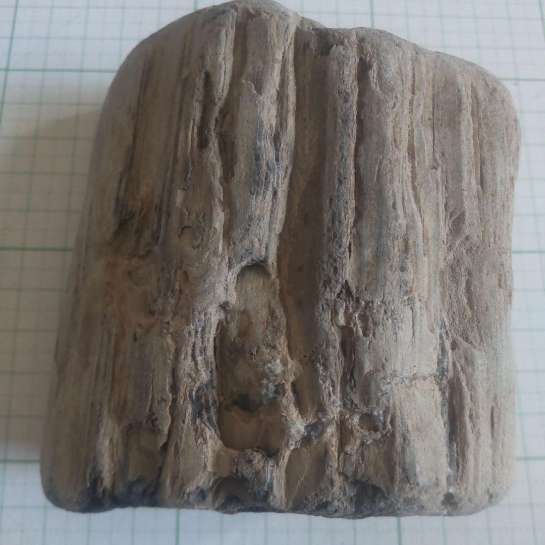 BM、珪化木セット