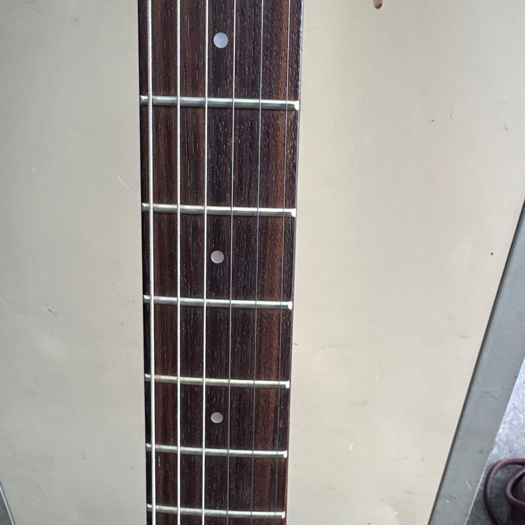 ⭐️希少⭐️ Aria Pro II（アリアプロII）　Black Dog