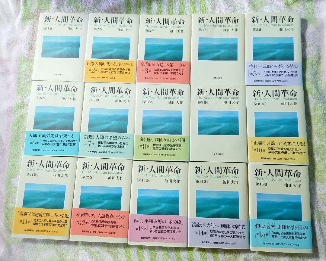 桜*子様 新人間革命 全巻セット 1-30上下巻 池田大作 創価学会