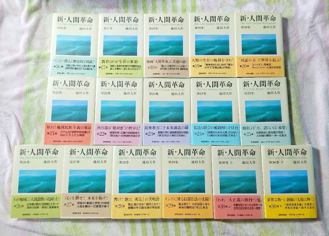 桜*子様 新人間革命 全巻セット 1-30上下巻 池田大作 創価学会
