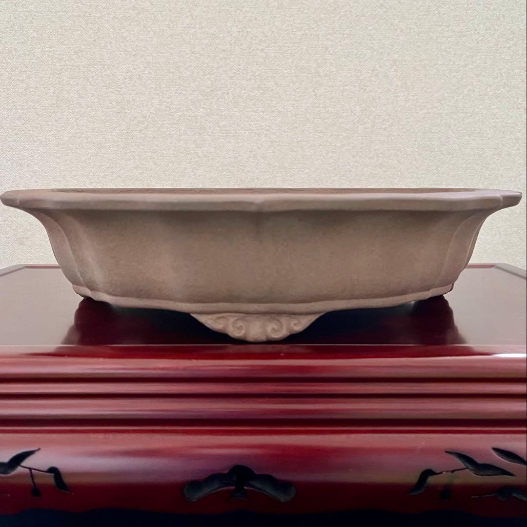 盆栽鉢 植木鉢 輪花鉢 佳山