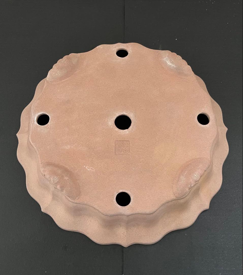 盆栽鉢 植木鉢 輪花鉢 佳山