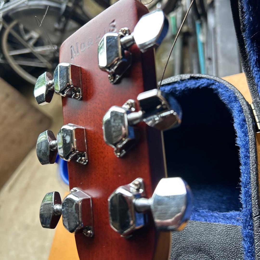 Morris アコースティックギター スプルース