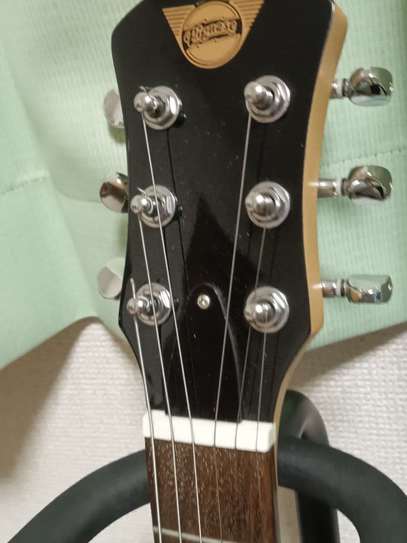 Pignose ピグノーズ アンプ内蔵ミニギター ブラック ソフトケース付き