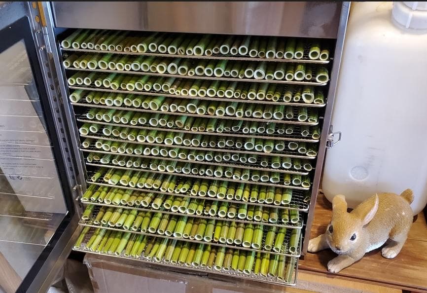 700g×２専用出品　(国産・高品質)乾燥パパイヤの茎