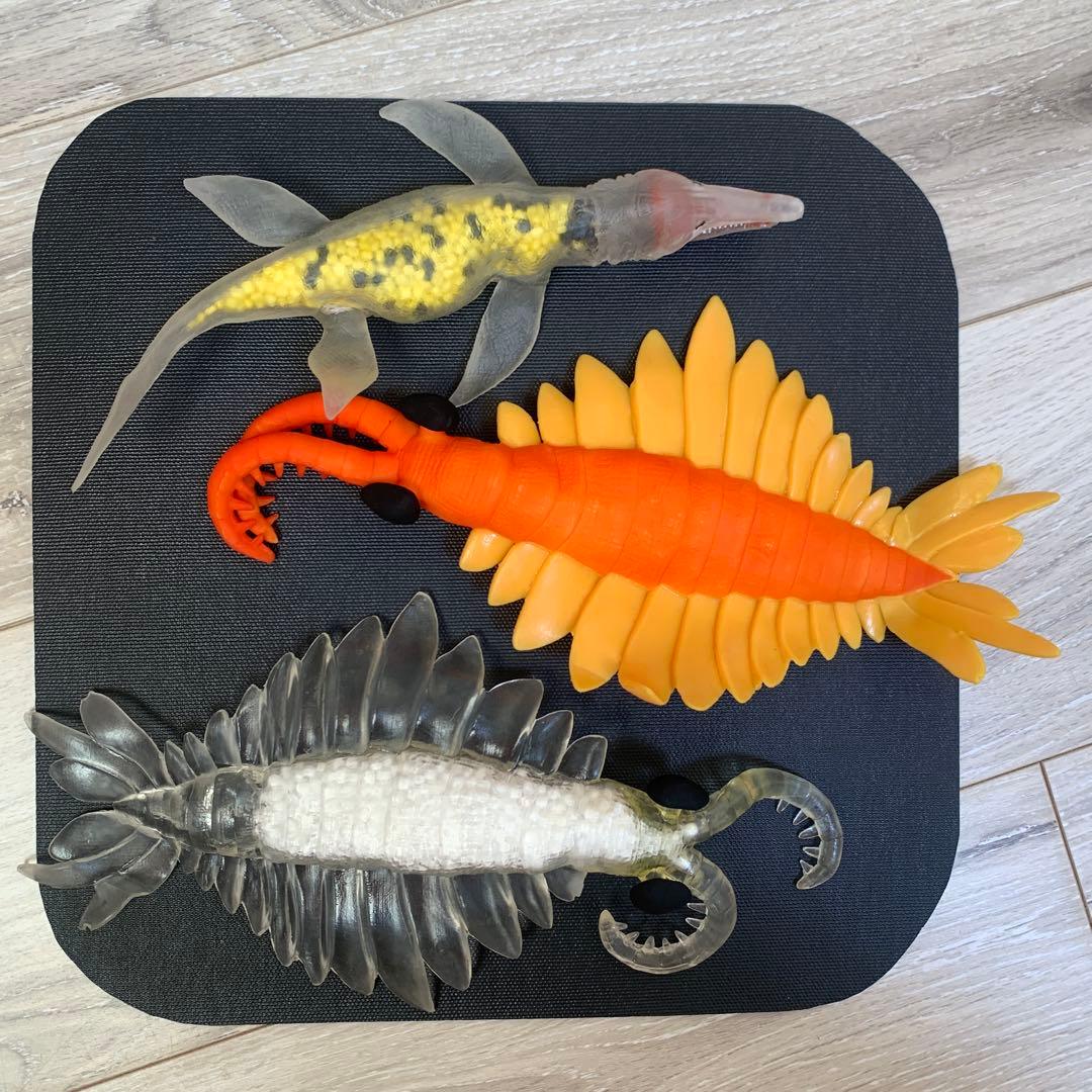 海の恐竜&co 16点　コンプリートセット デアゴスティーニ　アンドコ