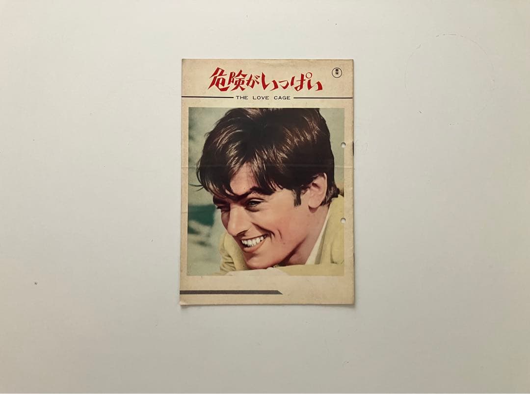 アラン・ドロン　映画　パンフレット　全16冊