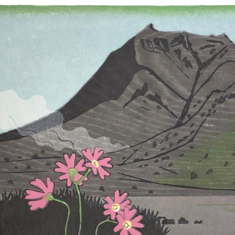 ☆ 大本靖 ☆「 エゾコザクラ 」木版画　太子サイズ　25/200　未使用！