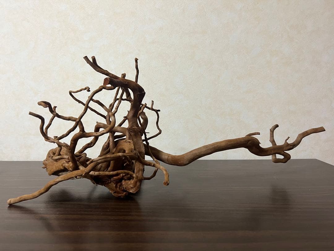 71015 ブランチウッド　流木　アクアリウム　沈水確認済