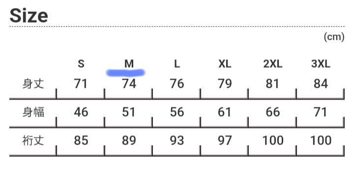 BLACK FLAG ブラックフラッグ Tシャツ　ロンT　長袖　新品未使用
