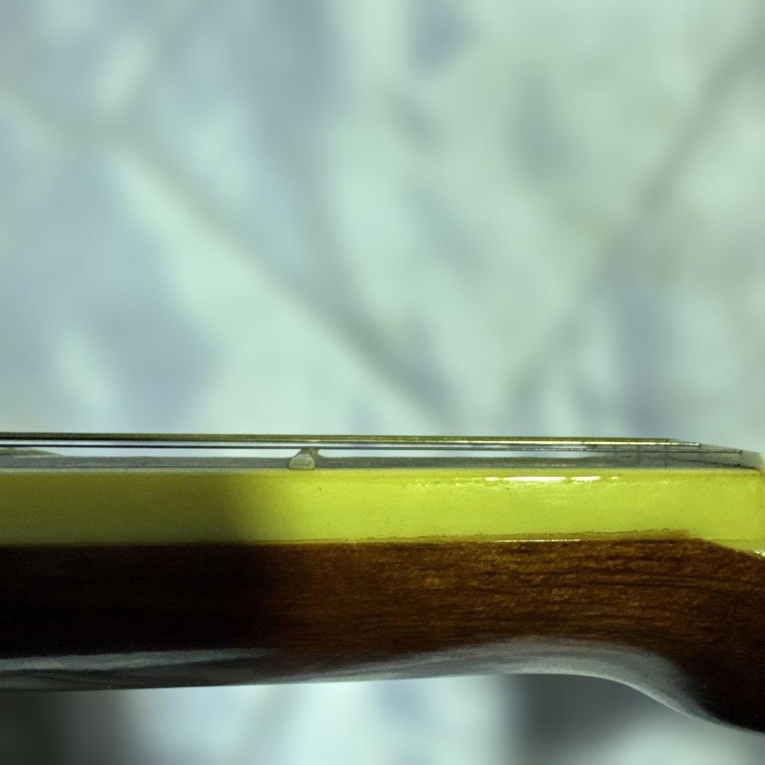 Morris アコースティックギター　w-25 ソフトケース付き