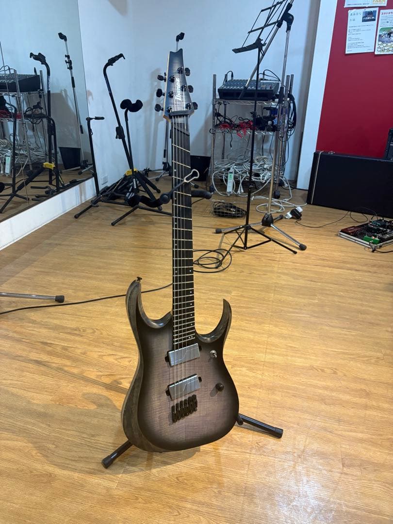 Ibanez rgdim6fm fishman ピックアップ