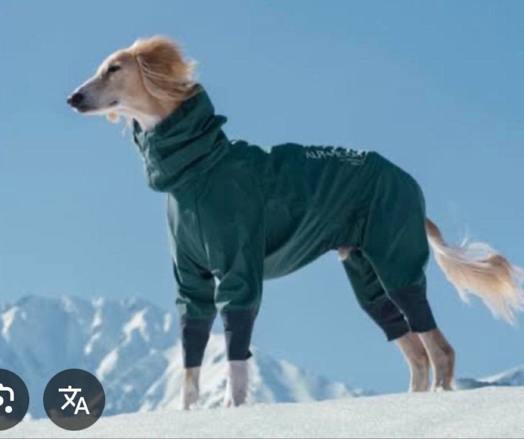 ALPHAICON (2XLサイズ) スノードッグカード　犬服