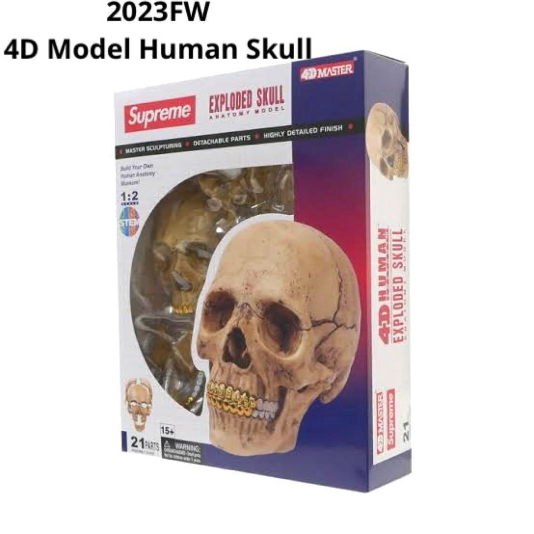Supreme 4D Model Human Skull シュプリーム ガイコツ