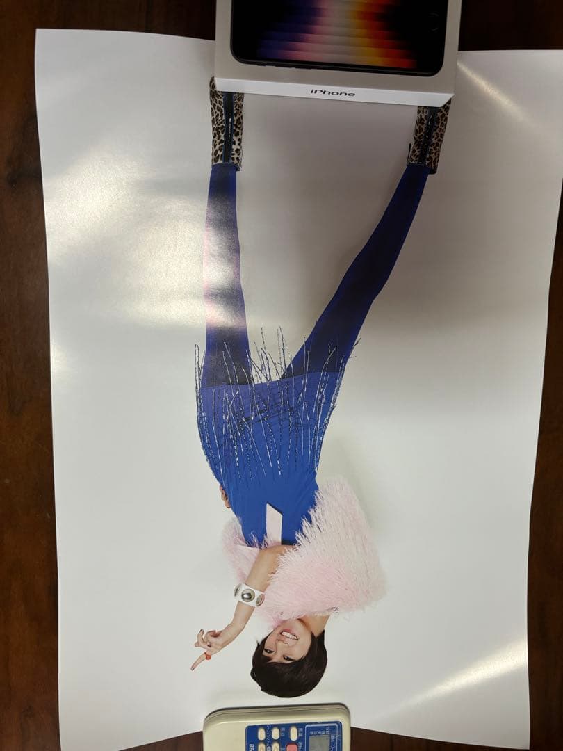 KARA 公式ポスターセット　30枚　新品