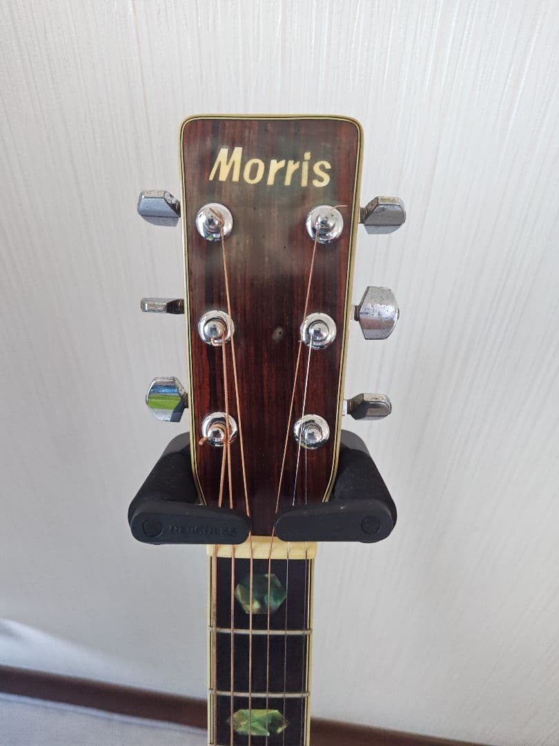 ギター Morris W-40