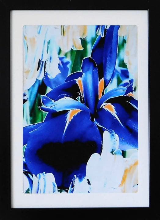 ＋ZEAMI　Untitled エディション作品　アートフェア