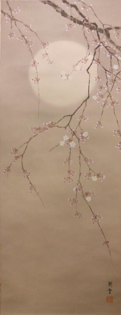 掛け軸 杉浦契雪 『 夜桜 』 絹本 希少 軸装 茶道具 掛軸 美品 です。