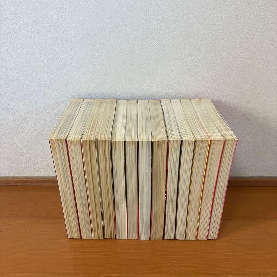 ビューティ男　堕悪　死星マリア　マギー's犬 Jr 全巻セット　叶精作　13冊