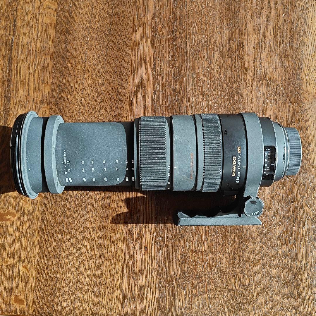 SIGMA 50-500mm F4-6.3 APO EX DG HSM ニコン用
