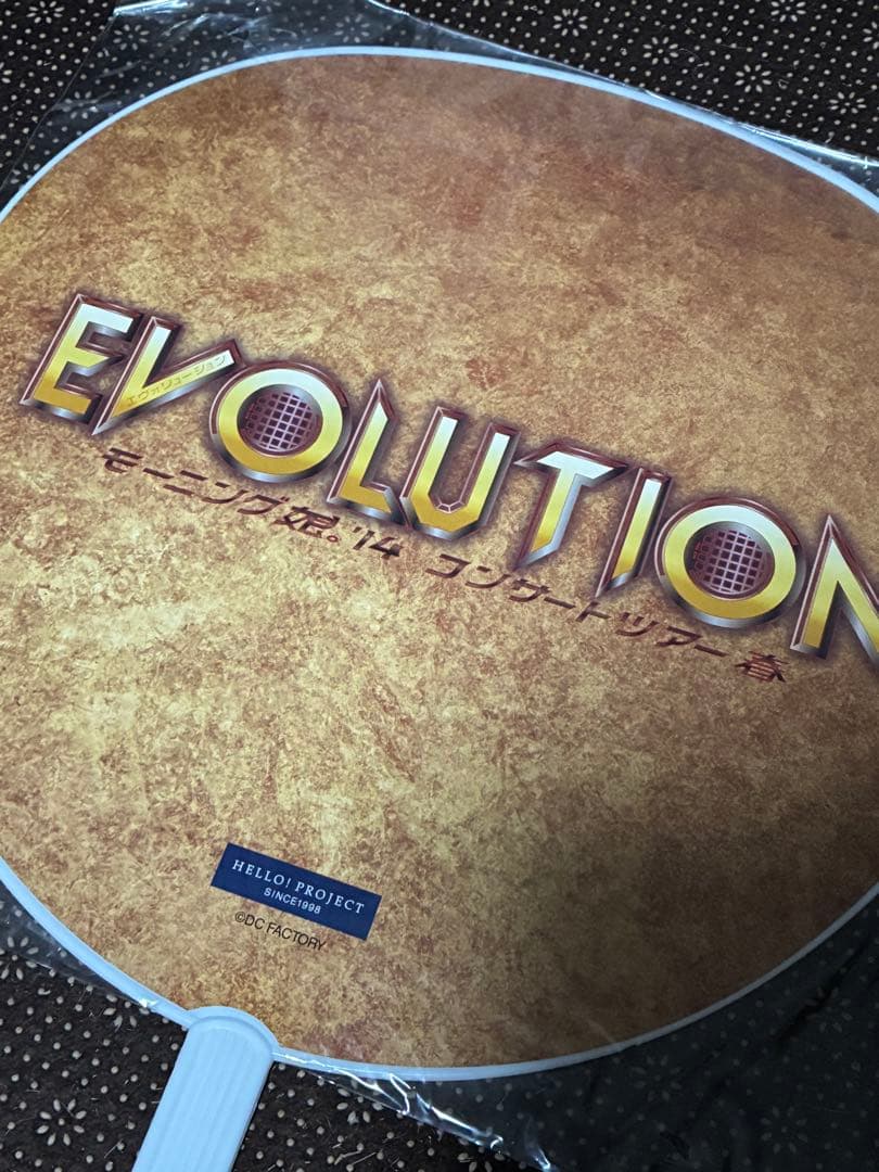 道重さゆみ　直筆サイン　うちわ　モーニング娘。'14 飯窪　evolution