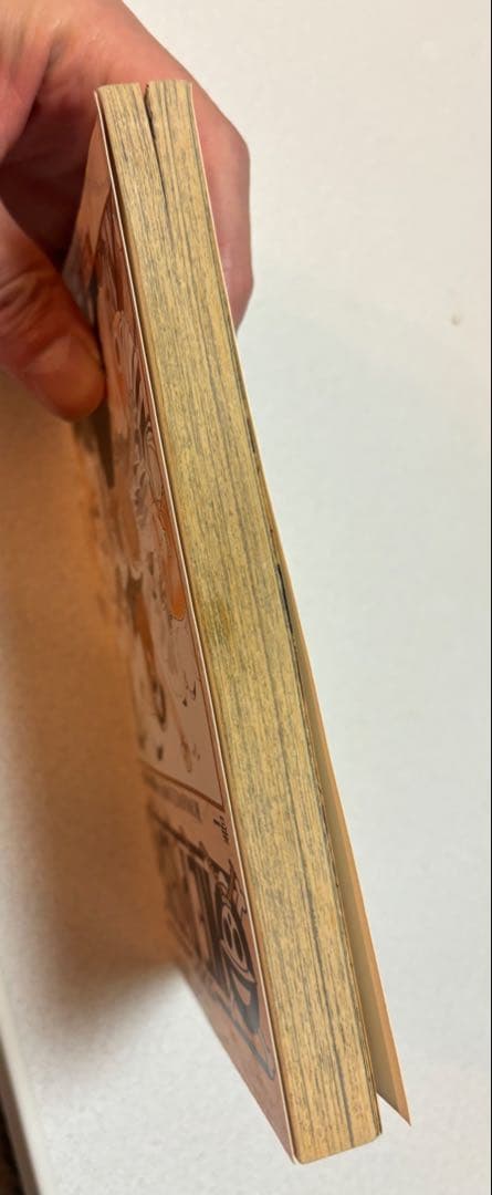 M*i様 【初版】ONE PIECE 1巻 ワンピース 1997年12月29日発