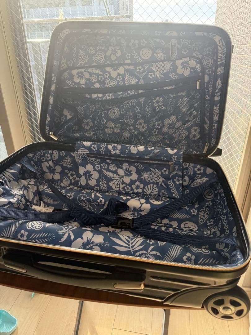 【希少】muta ムータ キャリーケース 8デザイン「機内持ち込可」