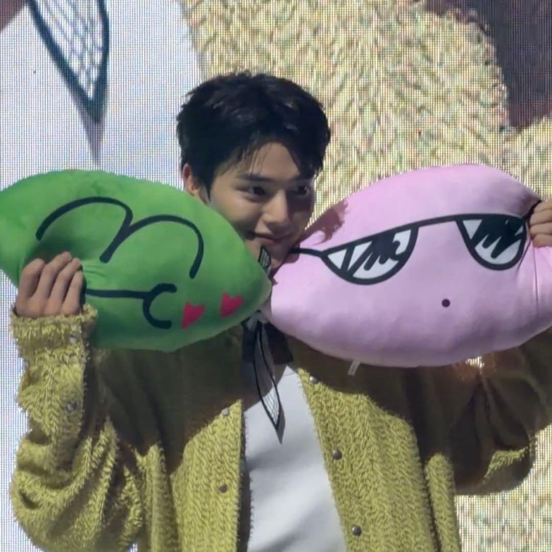 ソンガン SONGPYEON CUSHION (SONG Ver.)