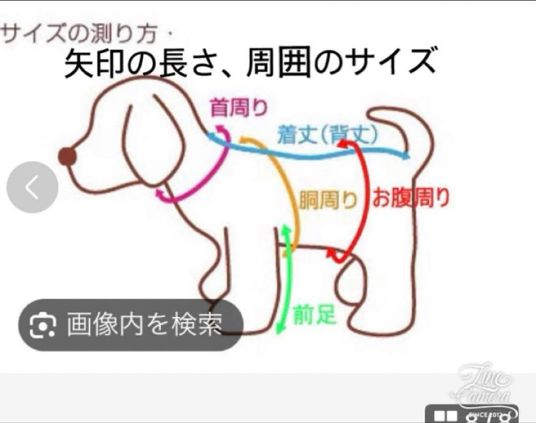 B461.pon2pan2☆犬オーダーお着物☆犬オーダーお引き摺りお着物