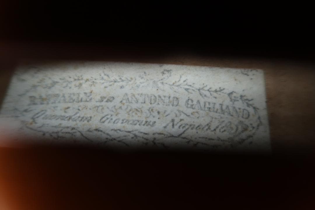 バイオリン 4/4 A.Gagliano ラベル ca.1859　（修理調整済）