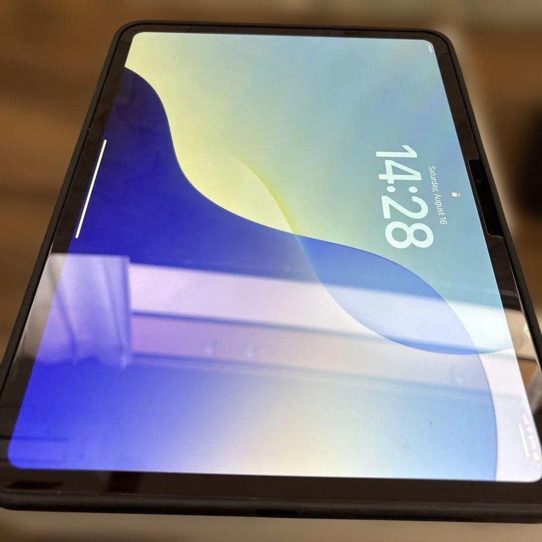 ぜ*ぃ様 iPad Pro 11インチ M4[256GB] セルラー SoftB