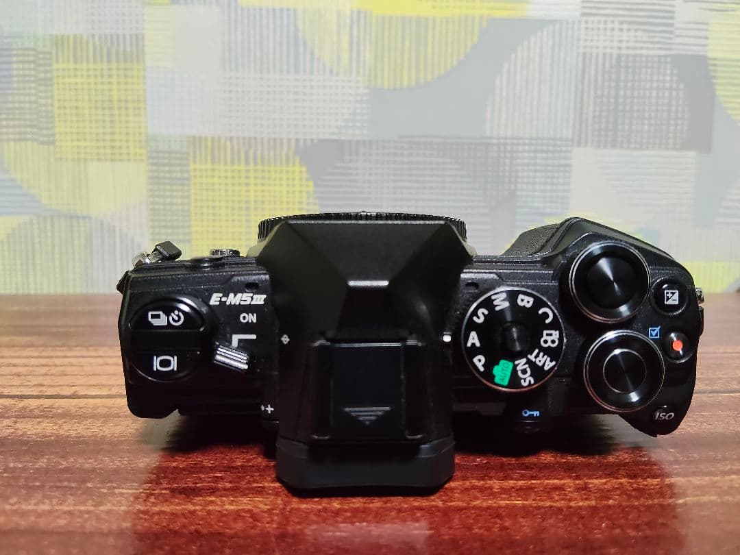 美品　OLYMPUS OM-D E-M5 Mark III ハンドグリップ付