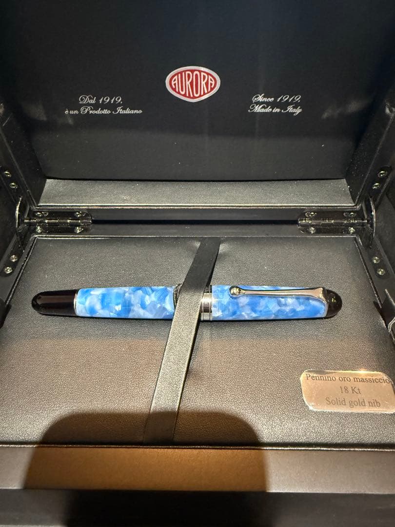 アウロラ万年筆　プルトーネ　ef