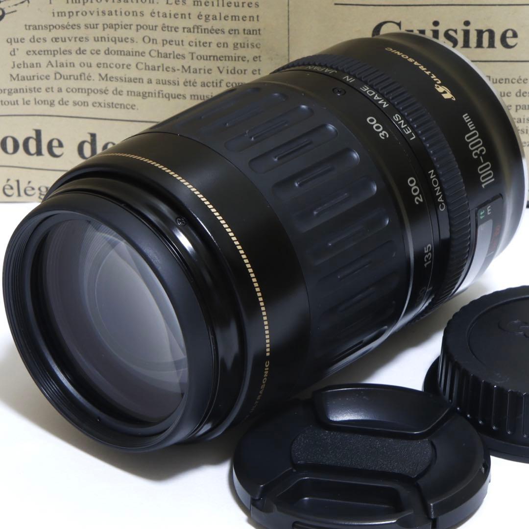◇超望遠&高速AF◇ Canon純正 300mm 超望遠レンズ!!◇