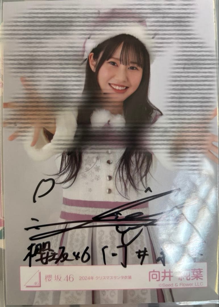 向井純葉　2024年クリスマスサンタ　直筆サイン 悪用防止のためモザイクしてます