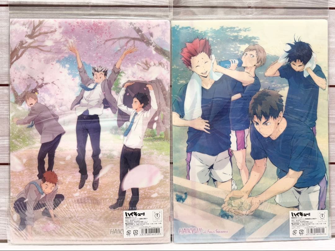 ハイキュー‼︎ クリアファイル 春夏秋冬 白鳥沢 梟谷青 葉城西 音駒