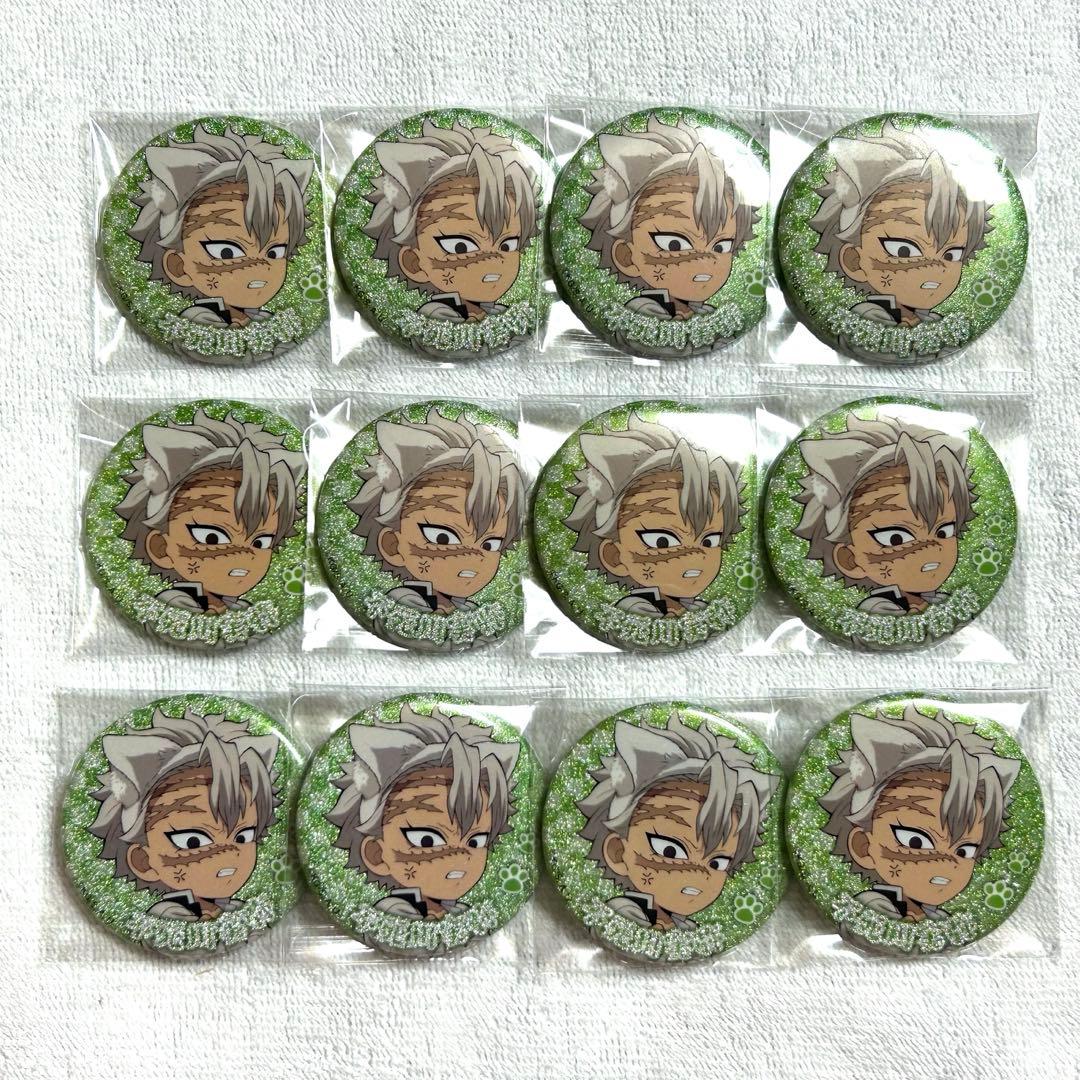 鬼滅の刃 ナンジャタウン 缶バッジ 実弥