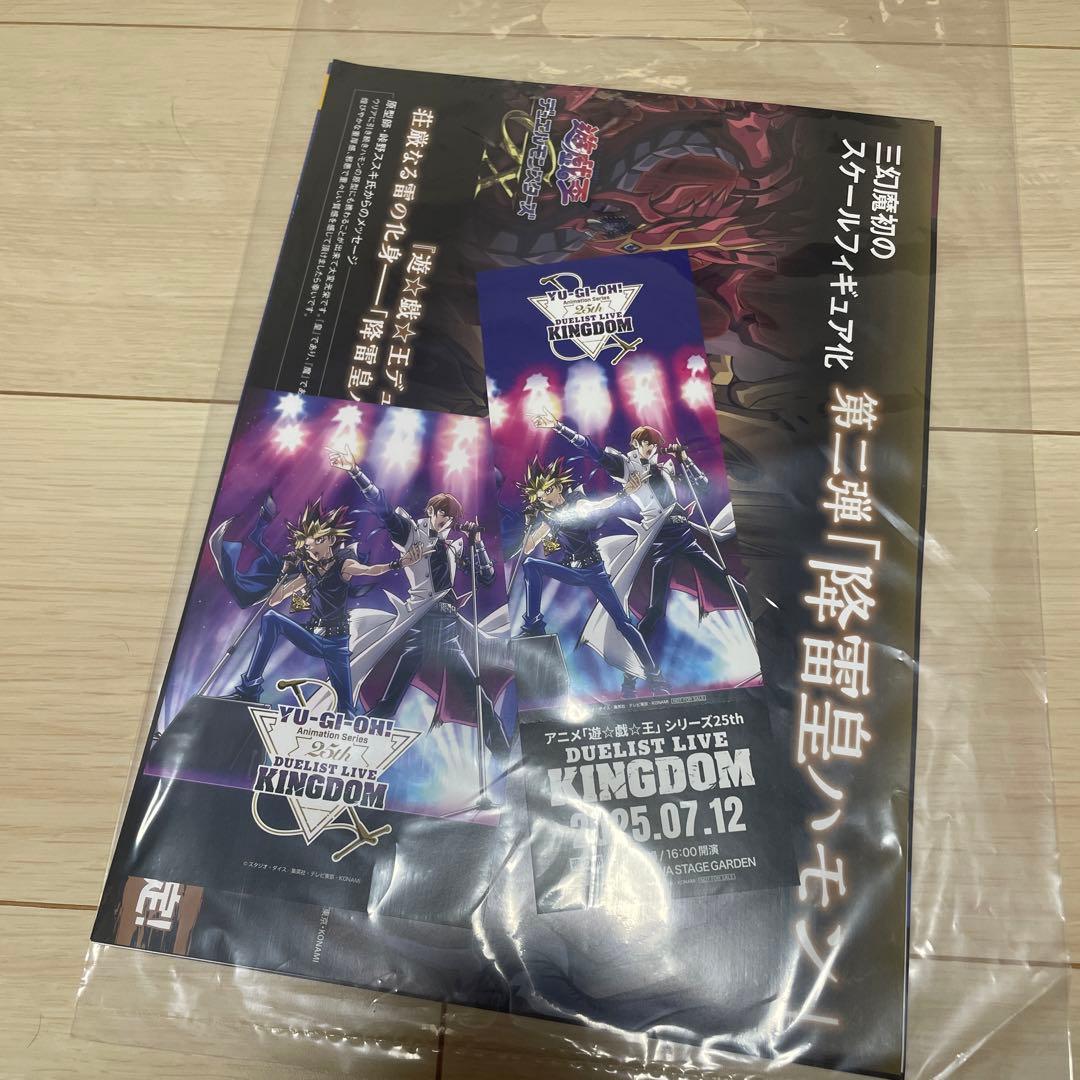 遊戯王25th Duelist Live Kingdom S席チケット特製グッズ