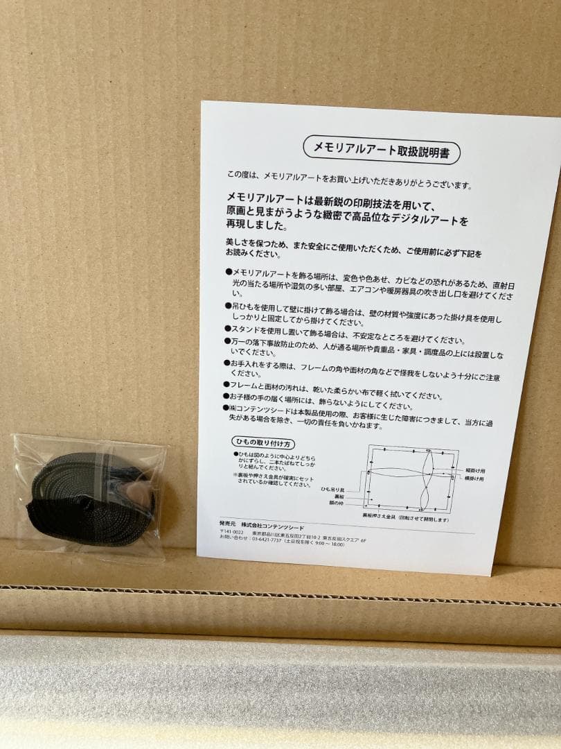 ストライク・ザ・ブラッド メモリアルアート 姫柊雪菜 浜辺でサンオイル受注生産