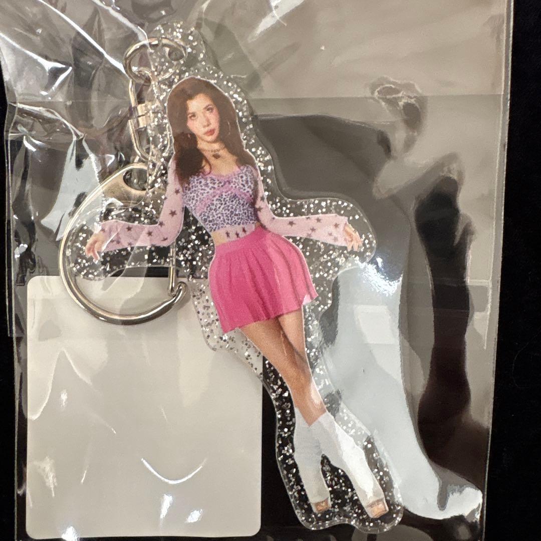 【新品未開封】仲里依紗　アールイードット　RE. アクリルキーホルダー　お人形