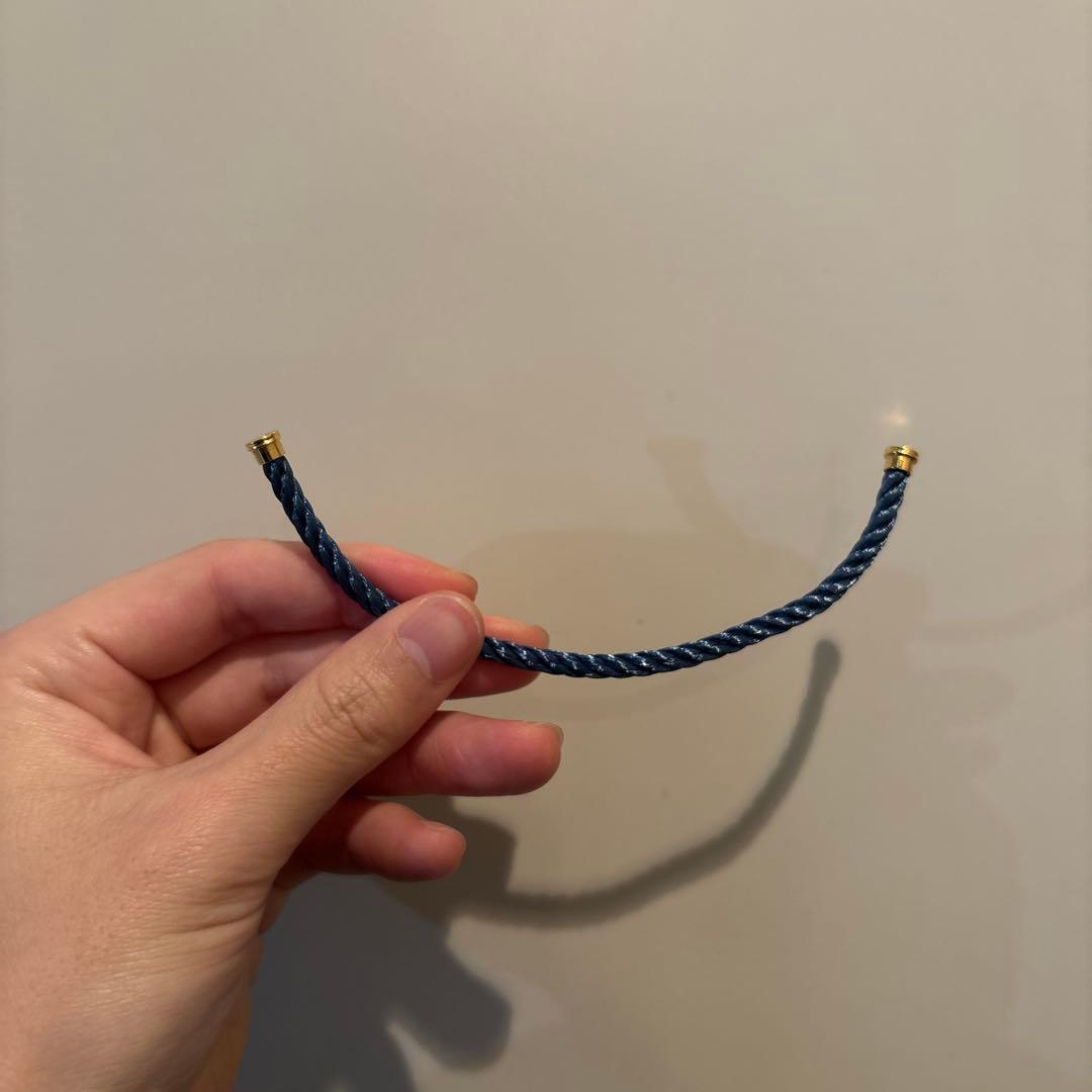 FRED フレッド　フォース10 LMケーブル　ブルージーン