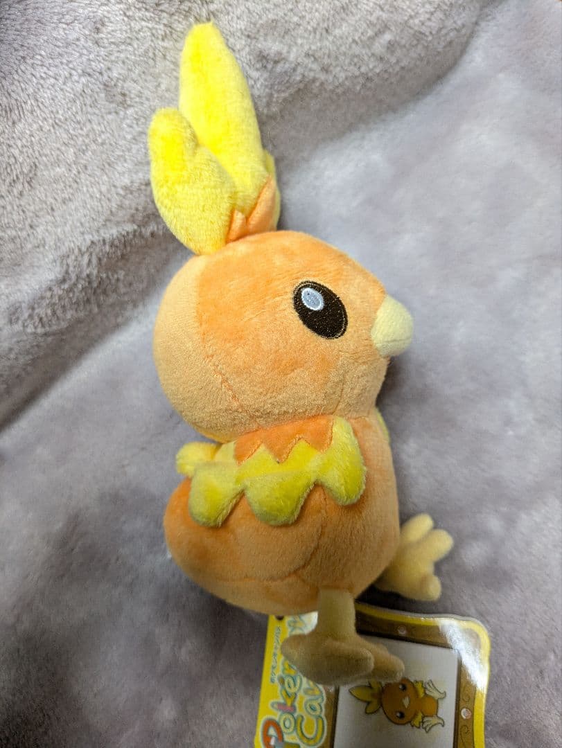 ポケモンセンター限定 ポケモンキャンパス マスコット アチャモ ぬいぐるみ