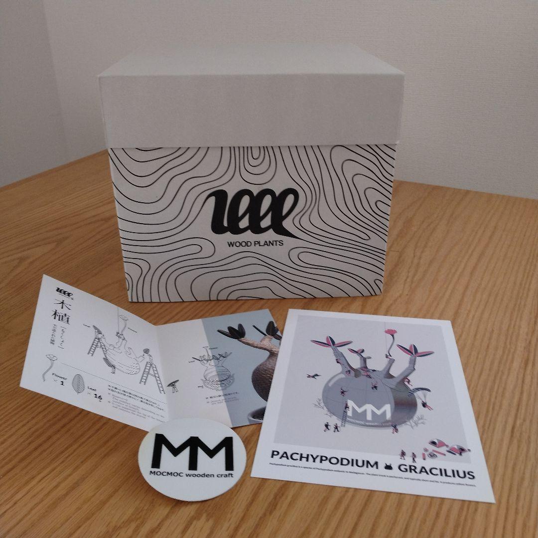 N*I様 落札キャンセルによる再出品 MOCMOC グラキリス　木製　枯れないグ