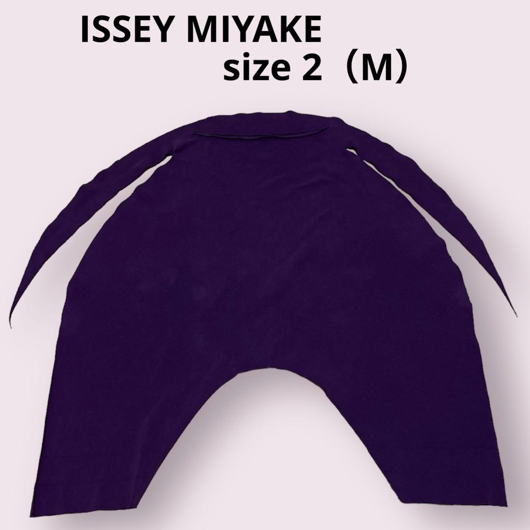 イッセイミヤケ　A-POC サルエルパンツ　ブーメラン