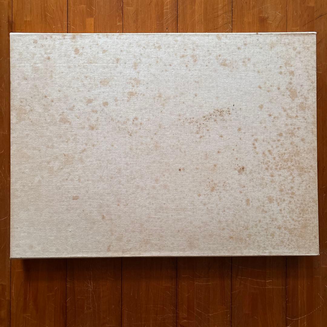 薔薇刑　新輯版 細江英公 寫真作品 三島由紀夫　横尾忠則 1971年