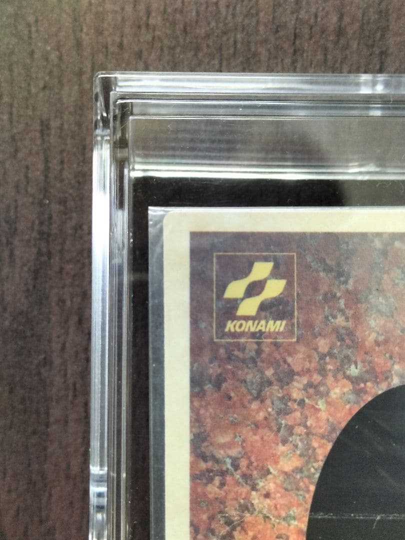 ツ*ム様 未開封　ホーリーナイトドラゴン　聖夜竜