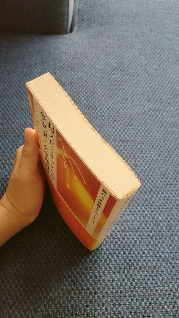 リアリティ トランサーフィン全4巻セット